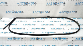 Hyundai Sonata 11-15 rear right door seal