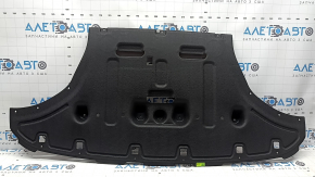 Kia EV6 22-24 Front Bumper Guard