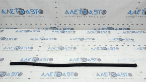 Hyundai Sonata 20-26 Hood Seal