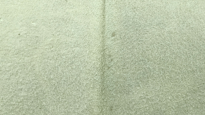 Lexus RX350 RX450h trunk floor 10-15 beige, needs cleaning, peeling off