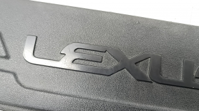 Lexus RX350 RX450h rear bumper trim, scratches, texture