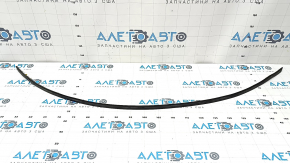 Hood seal on the Hyundai Santa FE 21-23 bumper