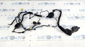 Hyundai Santa FE 19-23 Keyless Front Right Door Wiring