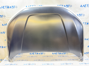 Naked hood Ford Edge 19 - aluminum