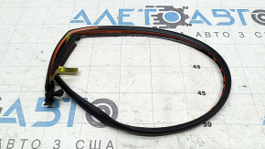 Lexus NX200t NX300 NX300h 15-21 front rear right door seal