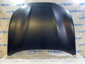 Ford Mustang Mach-E 21-26 steel hood