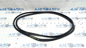 Hyundai Santa FE 20-23 front left door seal