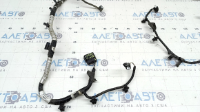 Rear bumper wiring for a 2021-2024 Ford Bronco Sport without parking sensors
