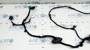 Rear left door wiring for a 2021-2026 Ford Bronco Sport