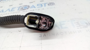 Rear left door wiring for a 2021-2026 Ford Bronco Sport