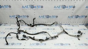 Ford Bronco Sport 2016-2017 1.5T Rear Subframe Wiring