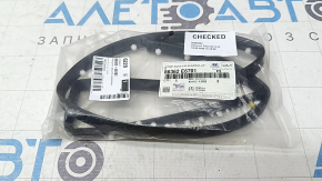 Hyundai Sonata 18-19 hood seal on bumper