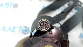 Driver's seat belt with squib and tensioner Ford Escape MK4 20-26 black, shot, worn