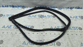 Nissan Kicks 18-25 Front Right Door Seal