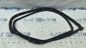 Nissan Kicks 18-25 Front Right Door Seal