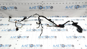 Kia Sportage 23-26 Keyless Front Left Door Wiring