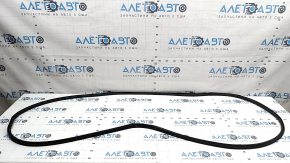 Hyundai Santa Fe 24-26 rear right door seal