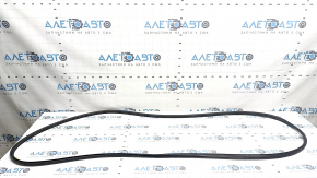 Hyundai Santa Fe 24-26 front right door seal