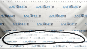 Hyundai Santa Fe 24-26 front left door seal