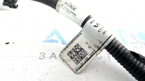 Kia Sportage 23-26 TV Wiring