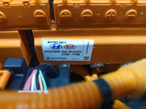 Hyundai Santa Fe 24-26 23k, 261V Battery Assembly