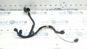 Hyundai Santa Fe 24-26 HEV Engine Bay Wiring