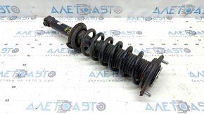 Rear left shock absorber assembly for Subaru Forester 25-26
