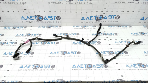 Lexus UX200 UX250h 19-22 front bumper wiring for parking sensors