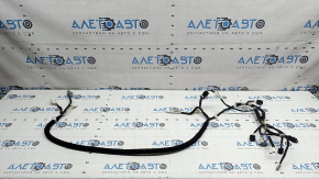 Lexus UX 19-26 trunk lid wiring