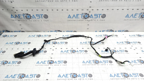Lexus UX 19-26 rear right door wiring