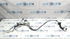 Lexus UX 19-26 front right door wiring for keyless entry