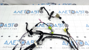 Lexus UX 19-26 front right door wiring for keyless entry