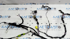Lexus UX 19-26 front left door wiring for keyless entry