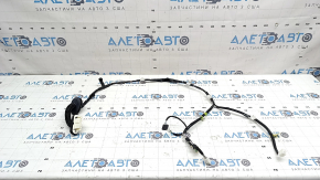 Lexus UX 19-26 rear left door wiring