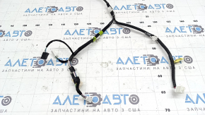 Lexus UX 19-26 rear left door wiring
