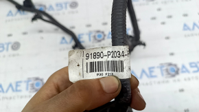 Kia Sorento 21-26 HEV, PHEV front bumper wiring for parking sensors, camera, radar, and fog lights without Park Assist