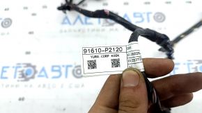 Wiring for the front right door of a Kia Sorento 21-26 for keyless and automatic window lifters
