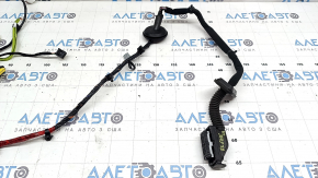 Kia Sorento 21-26 front left door wiring for keyless entry
