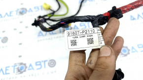 Kia Sorento 21-26 front left door wiring for keyless entry