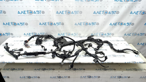 Lexus UX250h 19-26 Engine Wiring