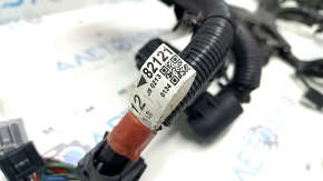 Lexus UX250h 19-26 Engine Wiring