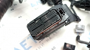 Lexus UX250h 19-26 Engine Wiring