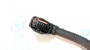 Lexus UX250h 19-26 Rear Axle Wiring