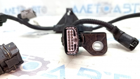 Toyota Camry V70 18-24 Hybrid Underhood Wiring