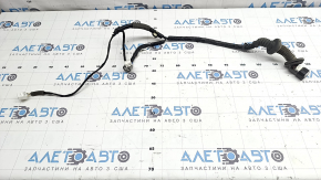 Honda Accord 2023-2026 rear left door wiring