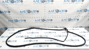 Door seal rear left Honda Accord 23-