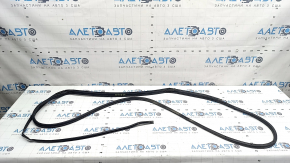Door seal rear left Honda Accord 23-