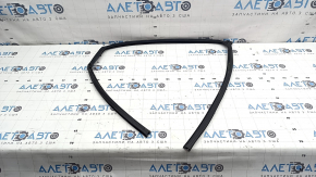 Rear left glass seal Honda Accord 23-
