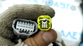 Toyota Rav4 19-25 front left door wiring for keyless entry