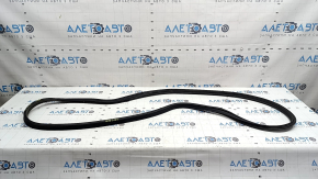Honda Accord 23-26 trunk lid seal